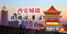 婷婷的屄中国陕西-西安城墙旅游风景区