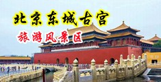 大奶裸体大鸡巴视频啪啪啪破处中国北京-东城古宫旅游风景区